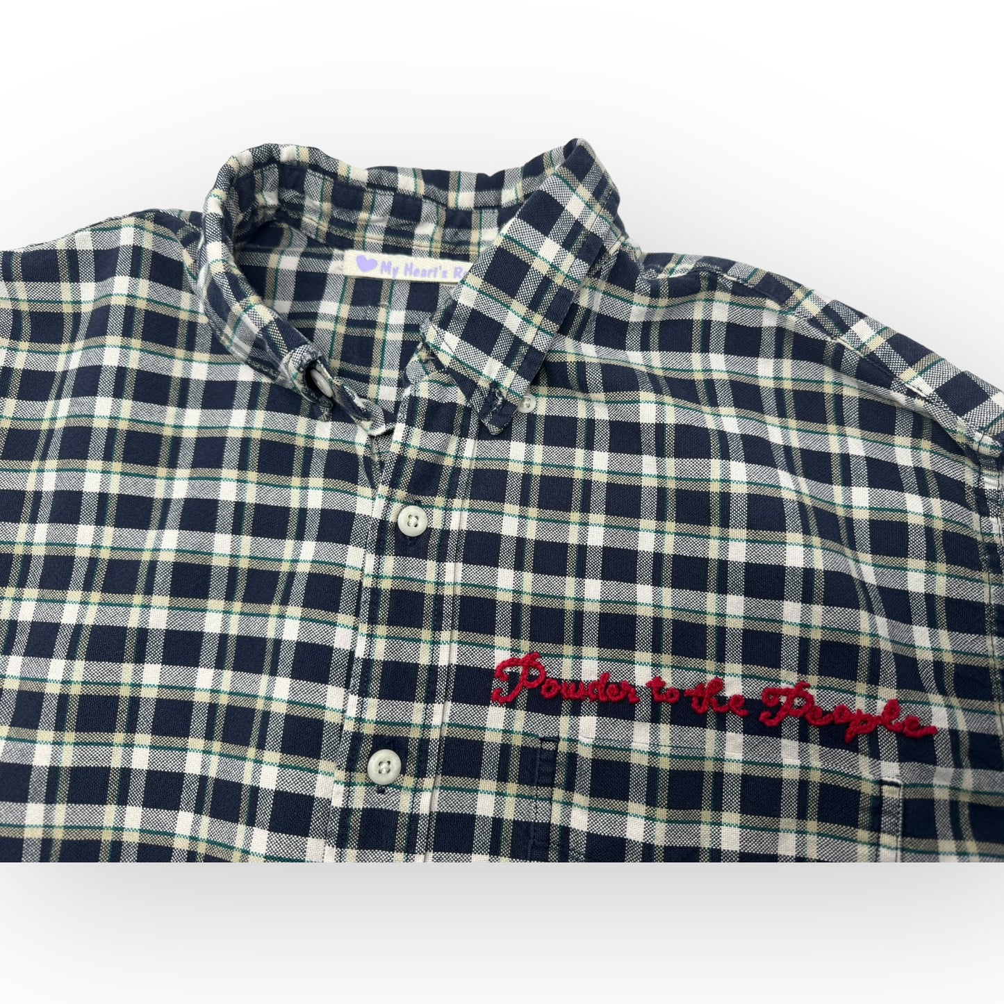 Powder to the people XL blue plaid button down