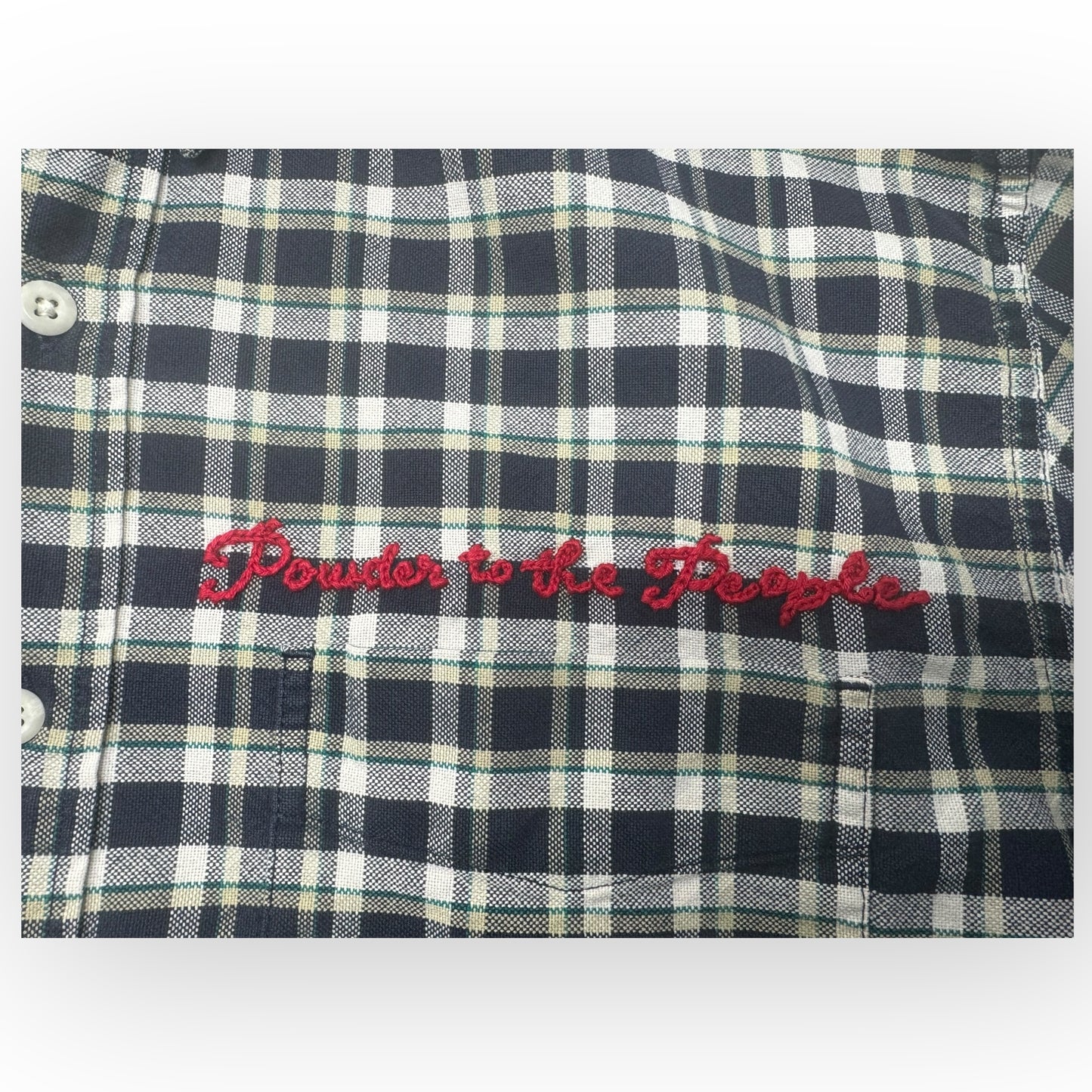 Powder to the people XL blue plaid button down